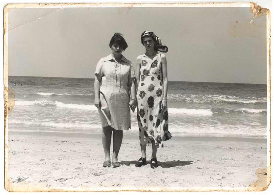 שרון רוטברד / זיעה מתוקה בספרייה של בבל