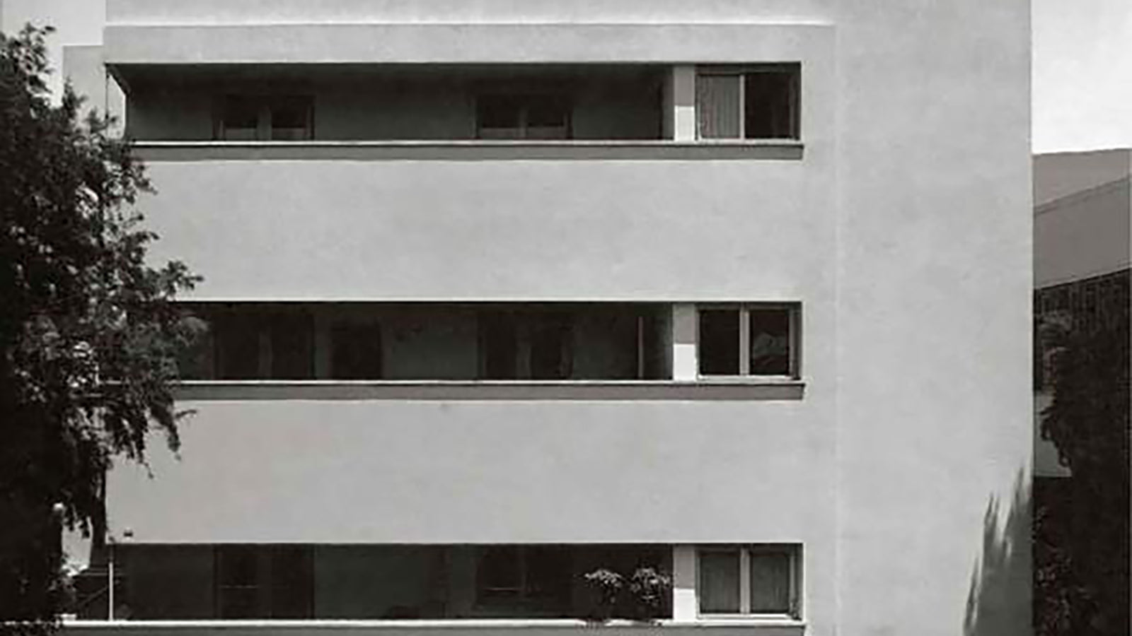 שרון רוטברד / בלגיה על הירקון: כמה מחשבות ‫ע‬ל‫ ‬״אבא שלי, דב כרמי״‫ מאת‬ עדה כרמי‫-מלמד