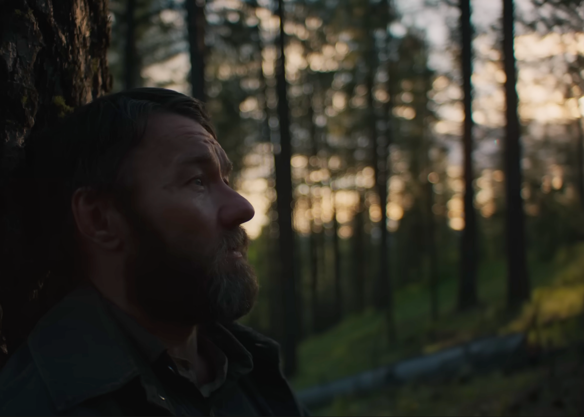 עיבוד קולנועי ליצירת המופת של דניס ג׳ונסון