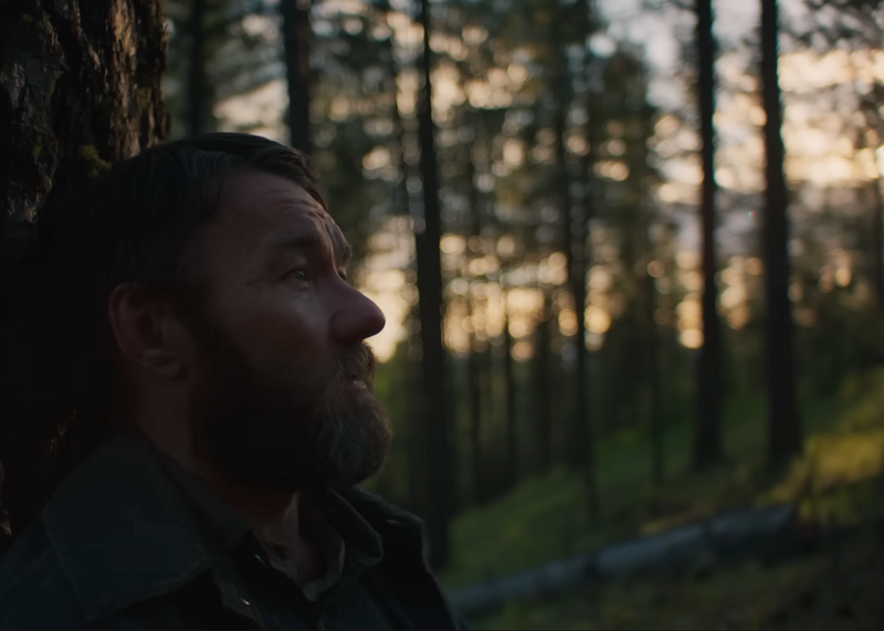 עיבוד קולנועי ליצירת המופת של דניס ג׳ונסון