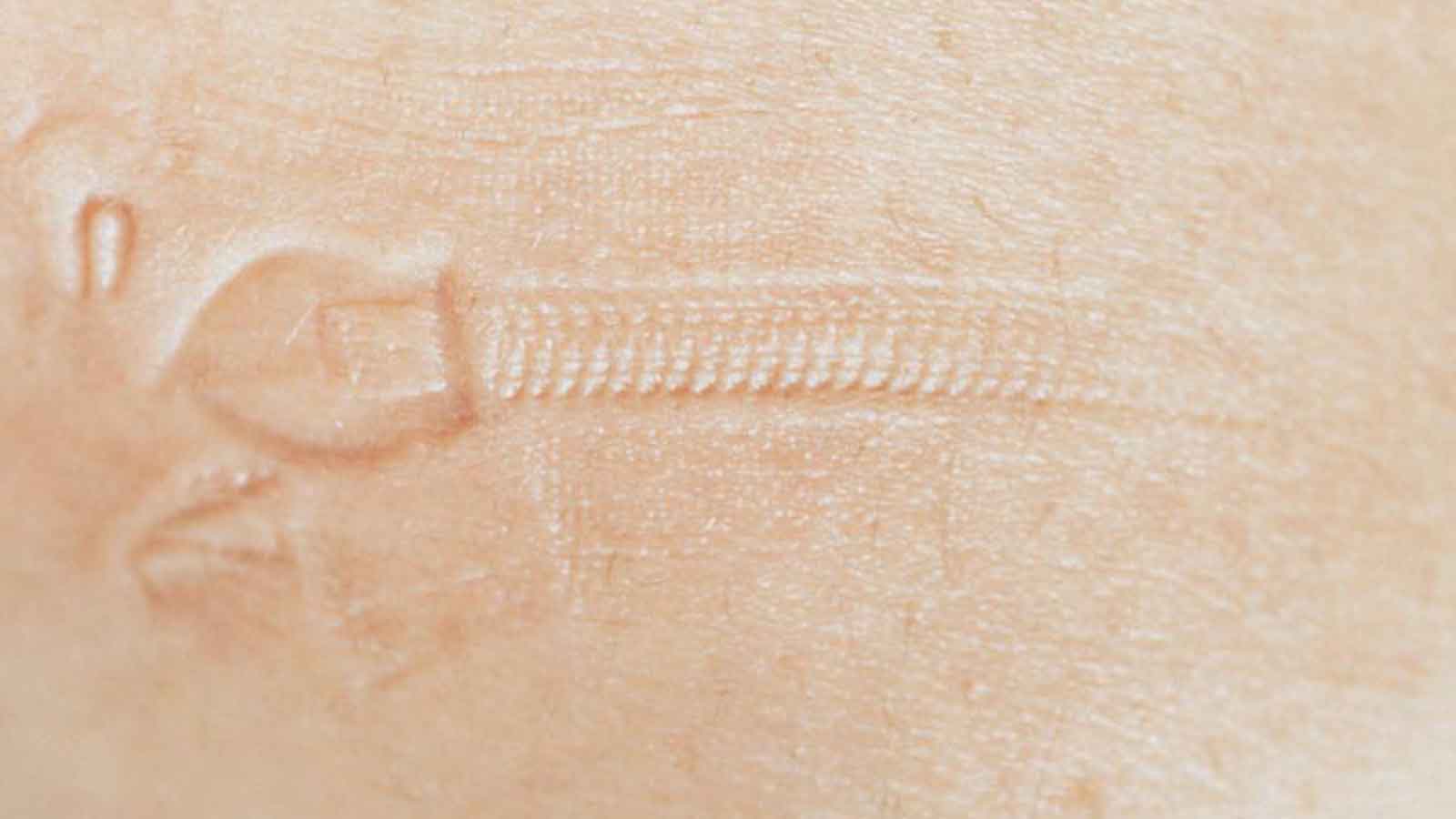 צילום: אלינור קרוצ׳י