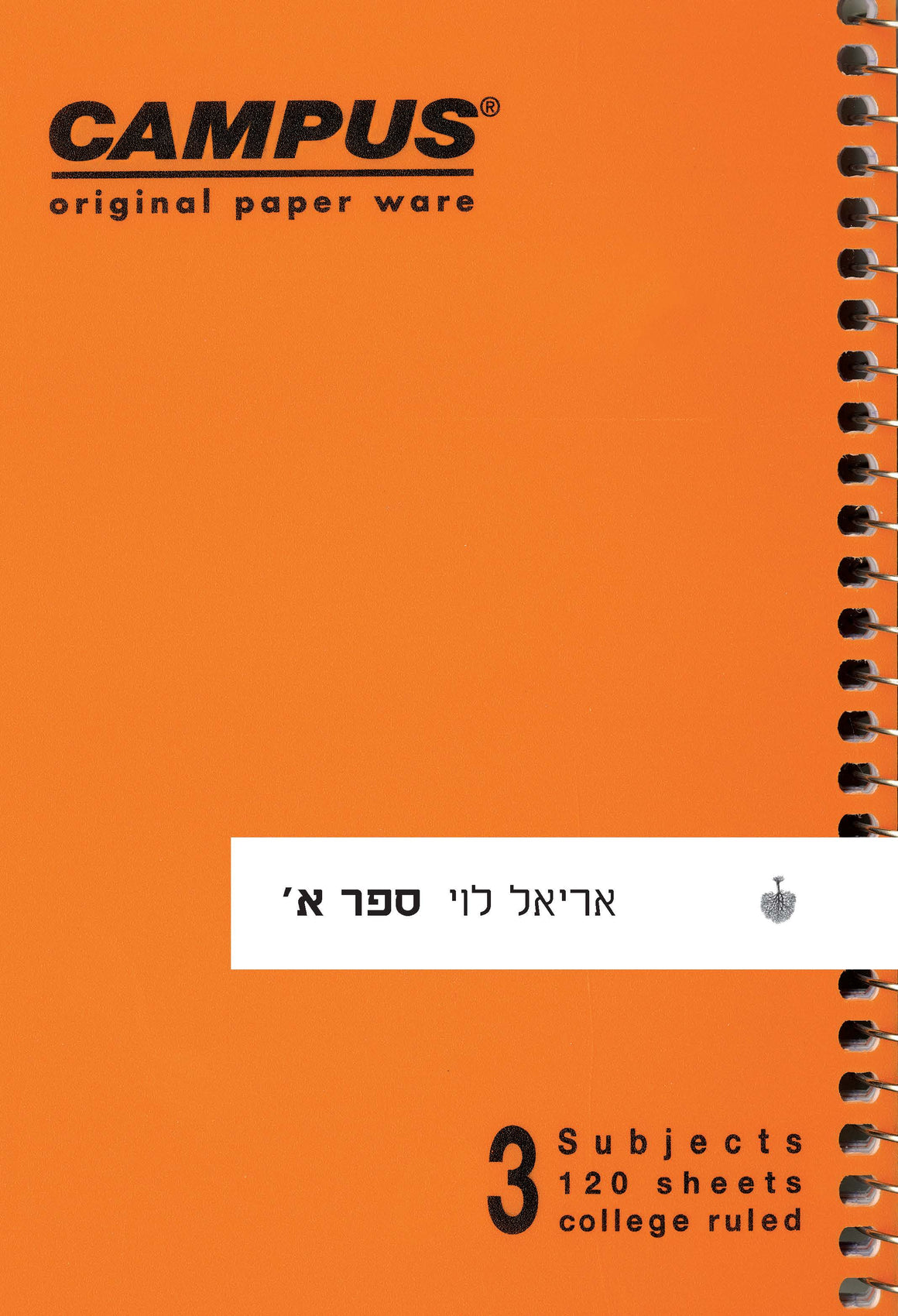 ספר א׳-אריאל לוי-